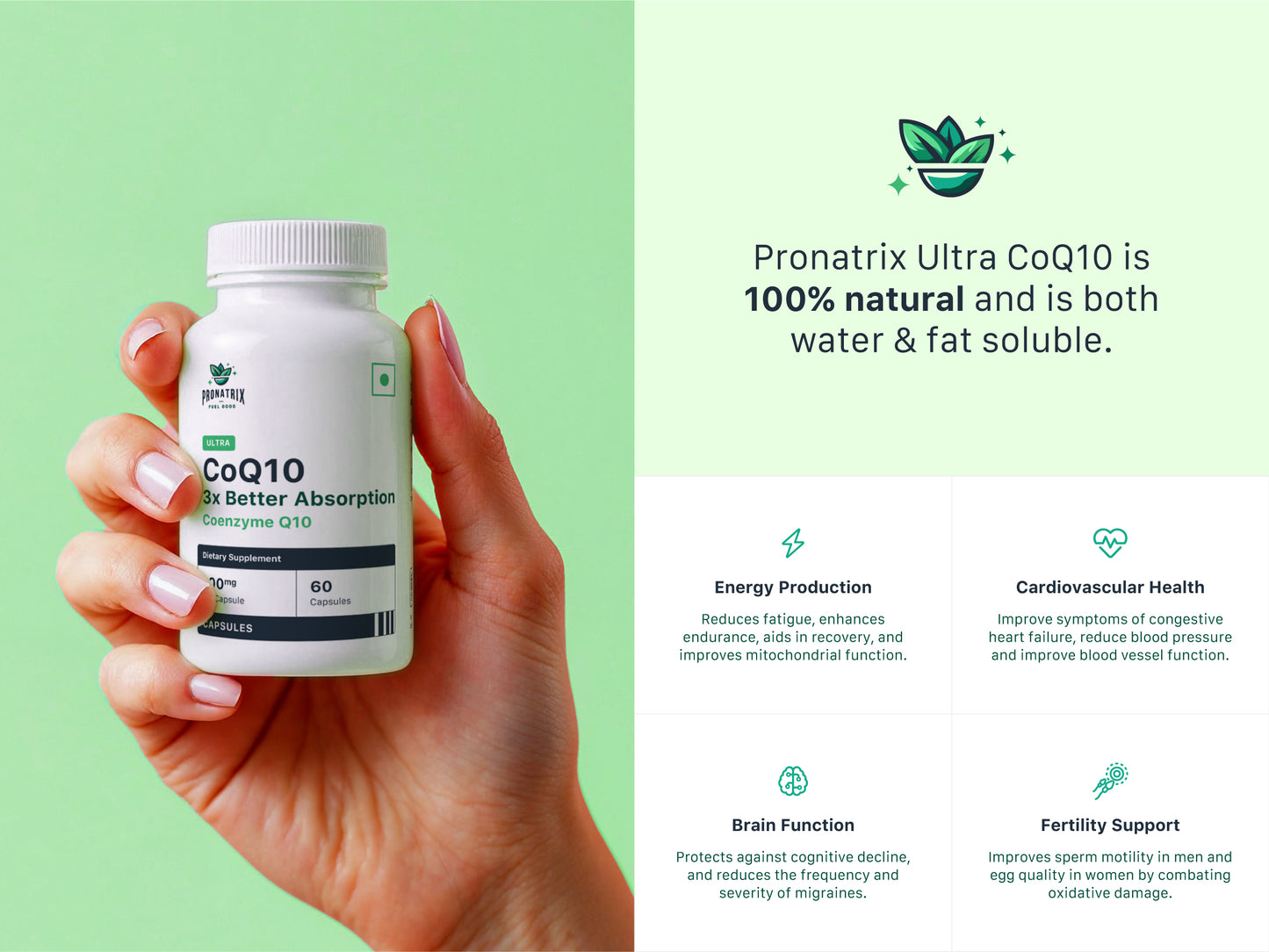 Coenzyme Q10 (100mg)